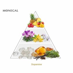 Dopamine 75 ml - Ramon Monegal