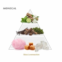 Ibiza Lovereaction 100 ml - Ramon Monegal