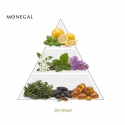 Dry Wood - Ramon Monegal