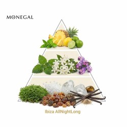 Ibiza AllNightLong 100 ml - Ramon Monegal