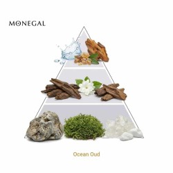 Ocean Oud Extrait de Parfum 50 ml - Ramon Monegal