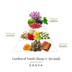 Garden of Youth 100 ml - Sasva