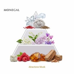 Atractone Musk EDP - Ramon Monegal