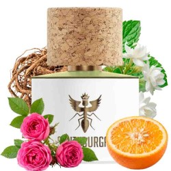 Verdant Delirivm 100 ml  - Santi Burgas