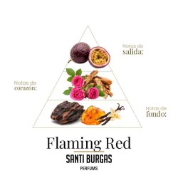 Flaming Red 100 ml - Santi Burgas