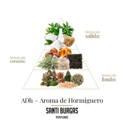 ADH - Aroma de Hormiguero 100 ml - Santi Burgas