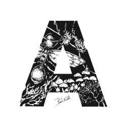 ADH - Aroma de Hormiguero 100 ml - Santi Burgas