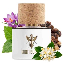 Eau Dada 100 ml - Santi Burgas