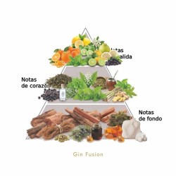 Gin Fusion 50 ml - Lorenzo Pazzaglia