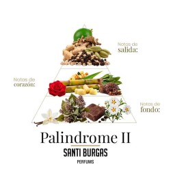 Palindrome II 100 ml - Santi Burgas