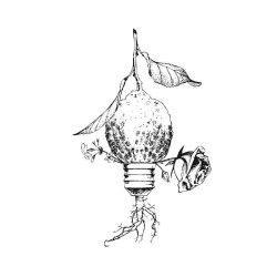 Palindrome II 100 ml - Santi Burgas