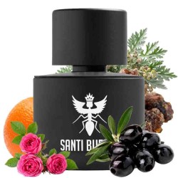 Palindrome III Eau de Parfum 100 ml - Santi Burgas