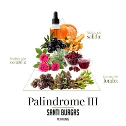 Set Palindrome 3 x 3 ml - Santi Burgas