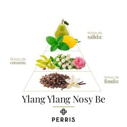 Ylang Ylang Nosy Be - Perris Monte Carlo