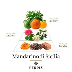 Mandarino di Sicilia - Perris Monte Carlo