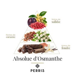 Absolue d'Osmanthe - Perris Monte Carlo