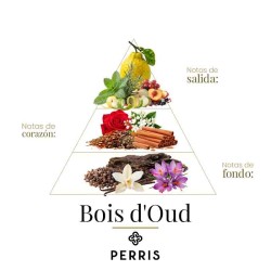 Bois D' Oud  - Perris Monte Carlo