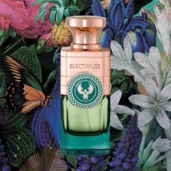 Reverie Haze 100 ml - Electimuss