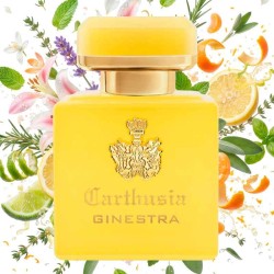 Intenso di Ginestra - Carthusia