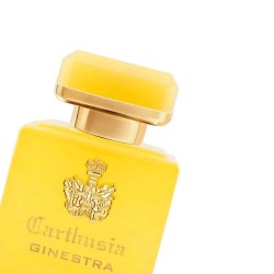 Intenso di Ginestra - Carthusia