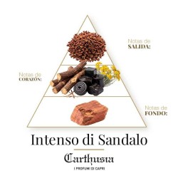 Perfume Intenso di Sandalo - Carthusia