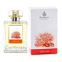 Corallium - Carthusia