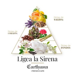 Ligea La Sirena - Carthusia