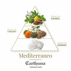 Mediterraneo - Carthusia
