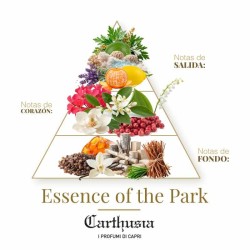Essence Of The Park - Carthusia