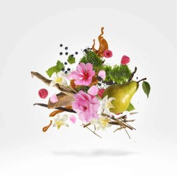 Blend De Venoge Louis XV Rosè - Xerjoff