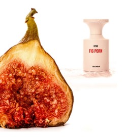 Fig Porn -  BORNTOSTANDOUT