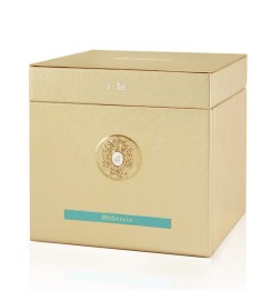 Abbrivio Extrait Parfum 100 ml - Tiziana Terenzi