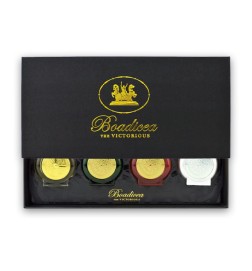 Cofret New Discovery 4 x 10 ml - Boadicea The Victorious