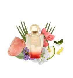 Vetiver Geranium 100 ml - Creed