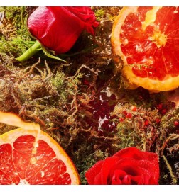 A Midsummer Dream Eau De Parfum - Roja