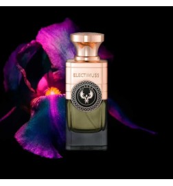 Vixere 100 ml - Electimuss