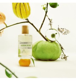 Saffron Mandarin 100 ml - Imaginarium by Liquides