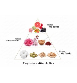 Exquisite - Attar Al Has