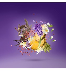 Purple Accento 100 ml - Xerjoff