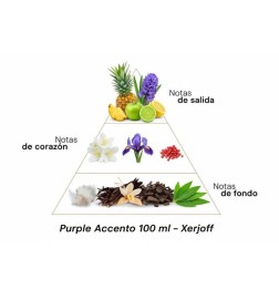 Purple Accento 100 ml - Xerjoff