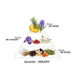 Accento - Xerjoff