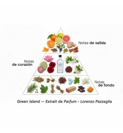 Green Island - 50 ml - Lorenzo Pazzaglia