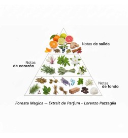Foresta Magica - 50 ml - Lorenzo Pazzaglia