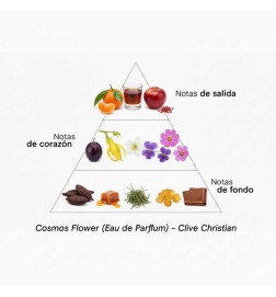 VII Cosmos Flower 50 ml - Clive Christian