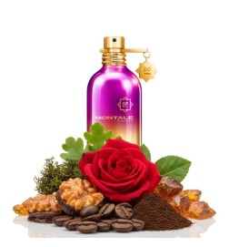 Sensual Instinct 100ml - Montale Paris