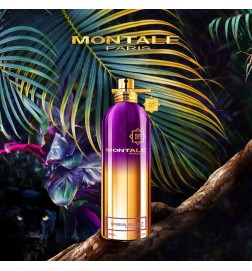Sensual Instinct 100ml - Montale Paris
