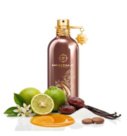 Arabians Musk 100 ml - Montale Paris