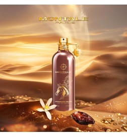 Arabians Musk 100 ml - Montale Paris