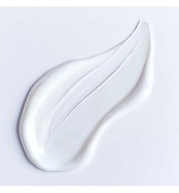 Sérum Anti-Rides Performance 30 ml - Stendhal