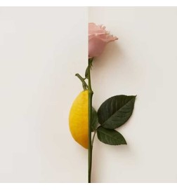 Rosa Limone Extrait De Parfum 50 ml - New Notes